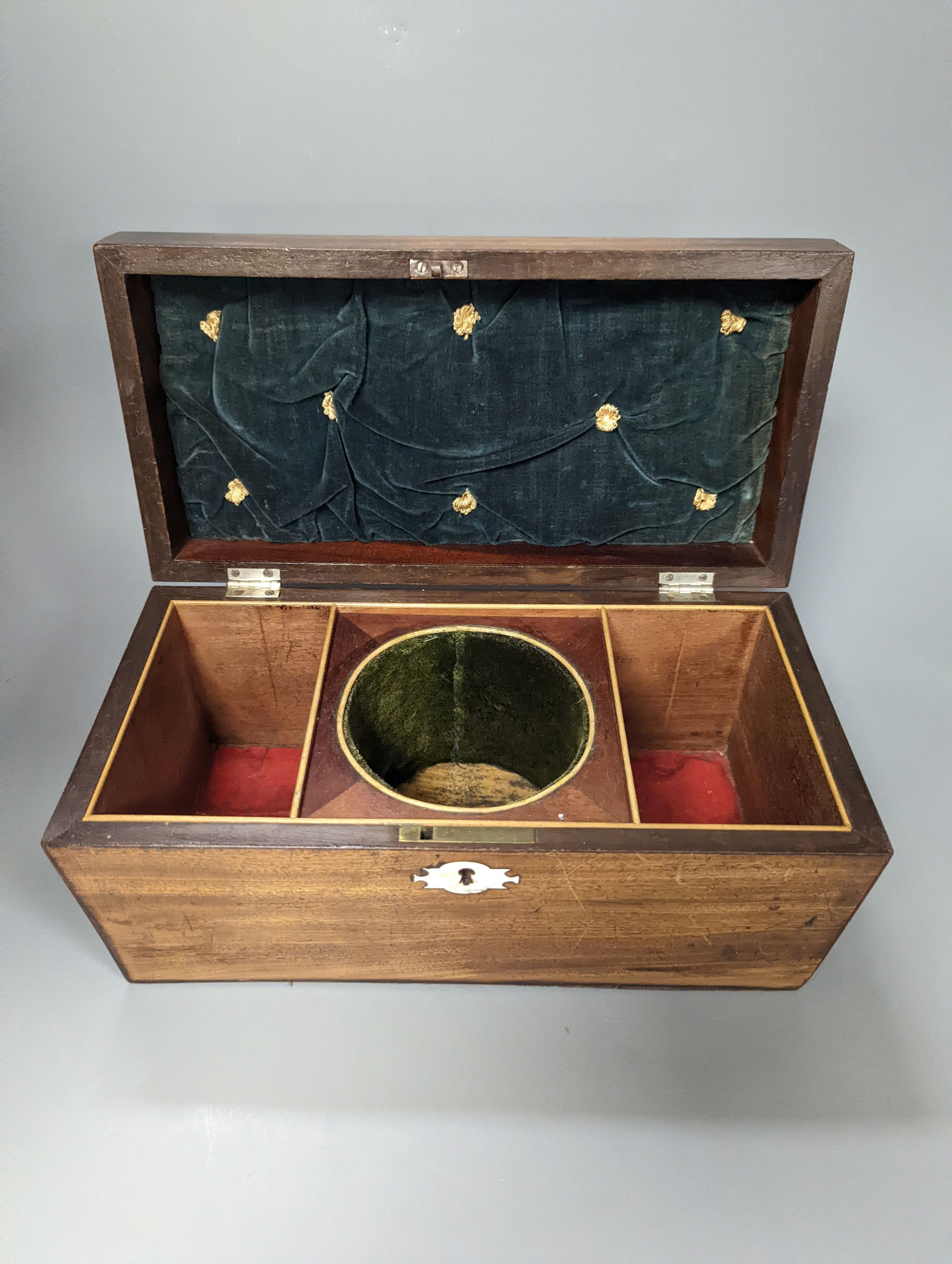 A 19th century mahogany tea caddy and a walnut 2 door smokers cabinet, Smokers cabinet 33 cms high.